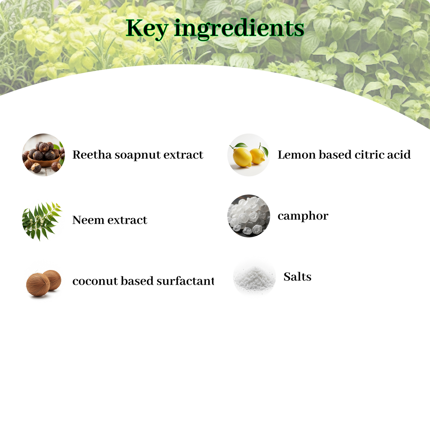 Ecopico floor cleaner (powder to liquid)